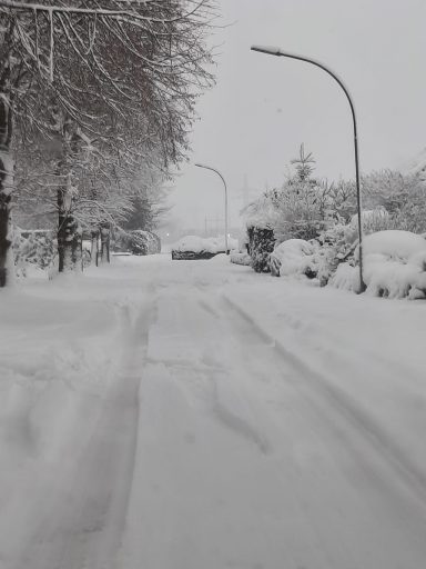 Weißer Wegacker