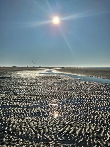 Lakolk Strand - Rømø (DK)