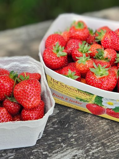 Erdbeeren & Himbeeren selber pflücken, frisch vom Feld!